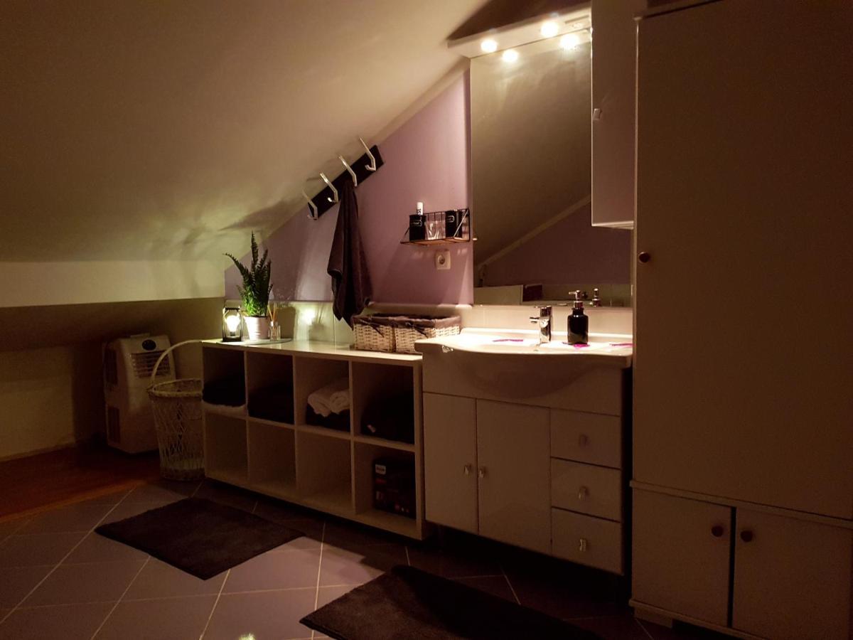 Apartman Atelier Karlovac Bagian luar foto