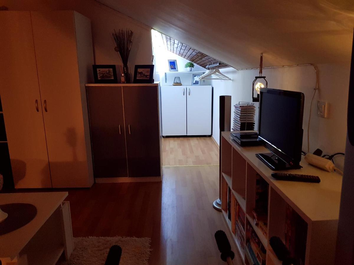 Apartman Atelier Karlovac Bagian luar foto