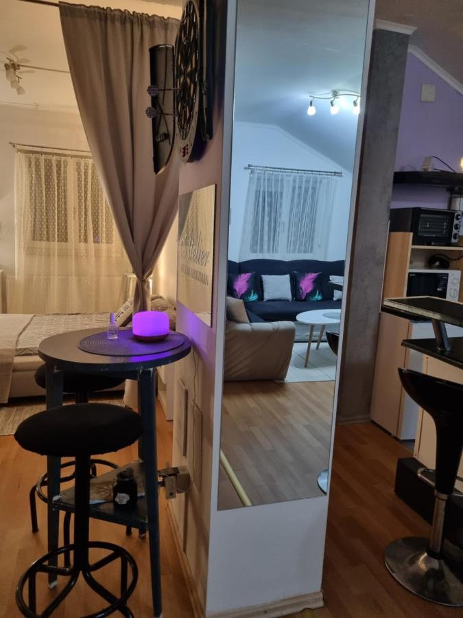 Apartman Atelier Karlovac Bagian luar foto