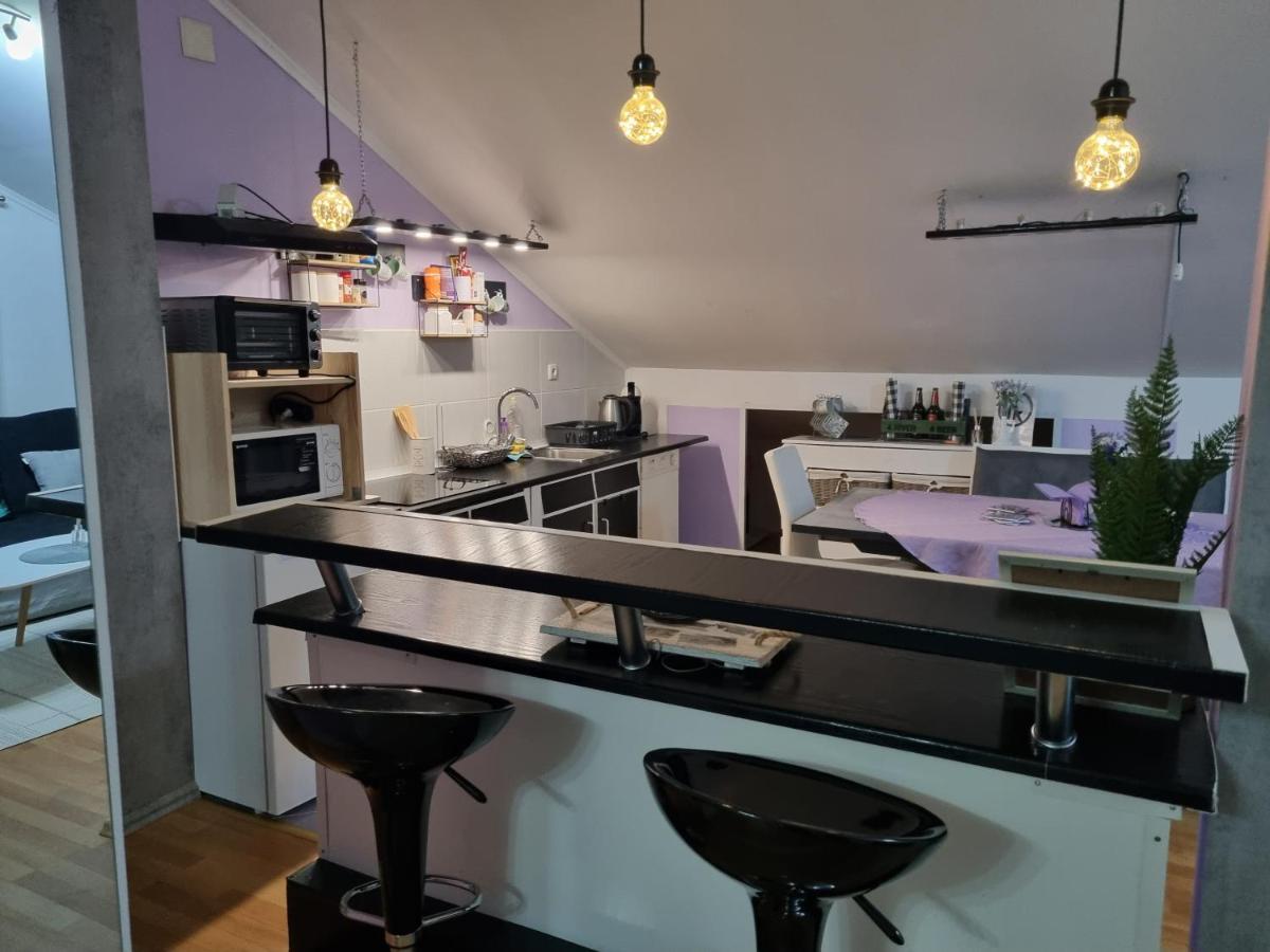 Apartman Atelier Karlovac Bagian luar foto